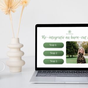 Re-integratie na Burn-out Toolkit